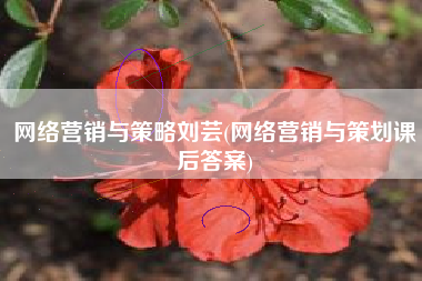 网络营销与策略刘芸(网络营销与策划课后答案)