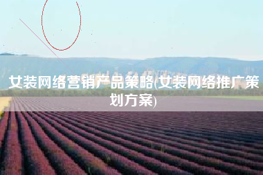 女装网络营销产品策略(女装网络推广策划方案)