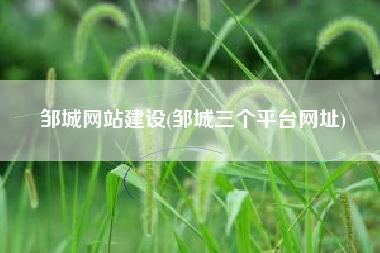 邹城网站建设(邹城三个平台网址)