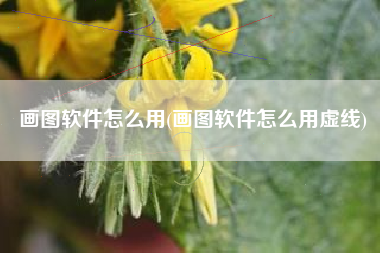 画图软件怎么用(画图软件怎么用虚线)