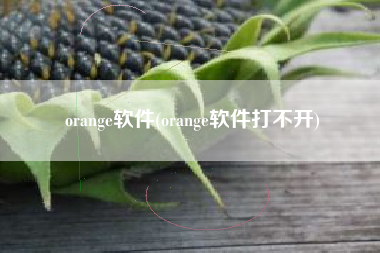 orange软件(orange软件打不开)