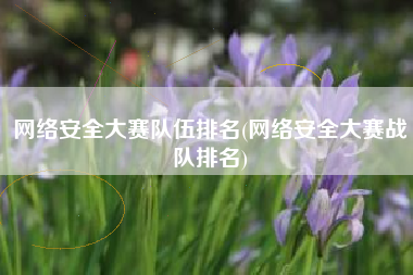 网络安全大赛队伍排名(网络安全大赛战队排名)