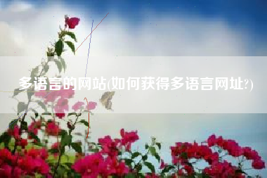 多语言的网站(如何获得多语言网址?)