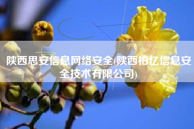 陕西思安信息网络安全(陕西柏亿信息安全技术有限公司)