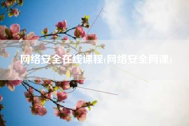 网络安全在线课程(网络安全网课)
