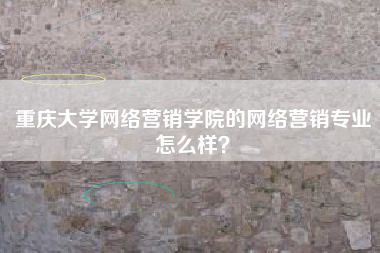 重庆大学网络营销学院的网络营销专业怎么样？
