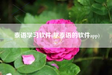 泰语学习软件(学泰语的软件app)