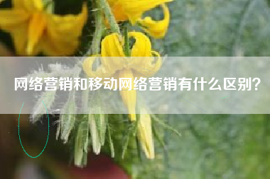 网络营销和移动网络营销有什么区别？