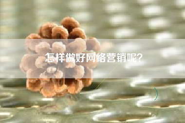 怎样做好网络营销呢？