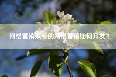 网络营销系统的网络营销如何开发？