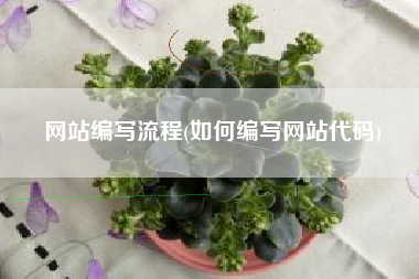 网站编写流程(如何编写网站代码)
