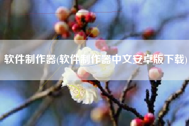 软件制作器(软件制作器中文安卓版下载)