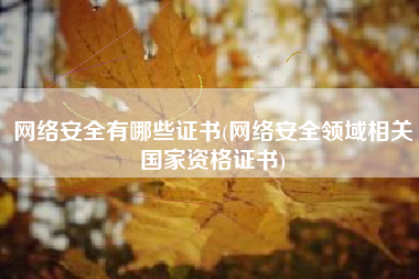 网络安全有哪些证书(网络安全领域相关国家资格证书)