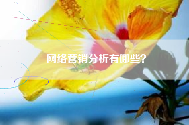 网络营销分析有哪些？