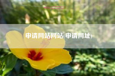 申请网站网站(申请网址)