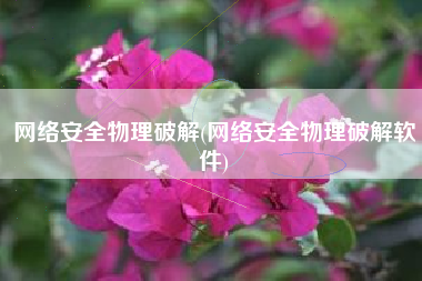 网络安全物理破解(网络安全物理破解软件)