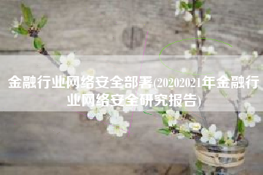 金融行业网络安全部署(20202021年金融行业网络安全研究报告)
