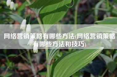 网络营销策略有哪些方法(网络营销策略有哪些方法和技巧)