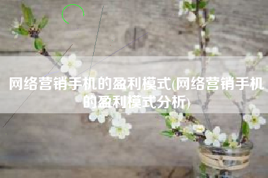 网络营销手机的盈利模式(网络营销手机的盈利模式分析)