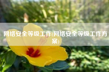 网络安全等级工作(网络安全等级工作方案)