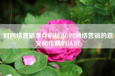 对网络营销事件的认识(对网络营销的意义和作用的认识)
