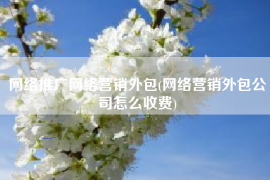 网络推广网络营销外包(网络营销外包公司怎么收费)