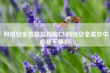 网络安全信息监控接口(网络安全监控中心是干嘛的)