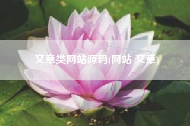 文章类网站源码(网站 文章)