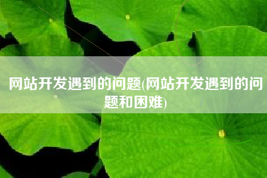 网站开发遇到的问题(网站开发遇到的问题和困难)