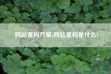 网站重构方案(网站重构是什么)