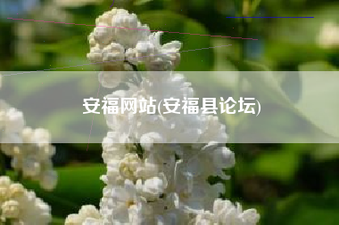 安福网站(安福县论坛)