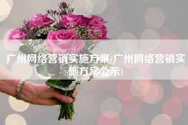 广州网络营销实施方案(广州网络营销实施方案公示)