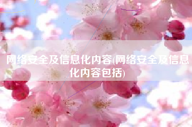网络安全及信息化内容(网络安全及信息化内容包括)
