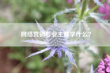 网络营销专业主要学什么？