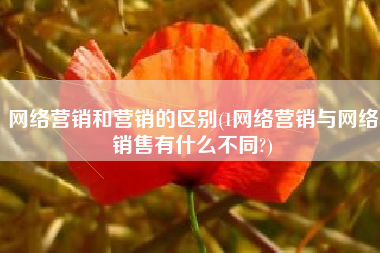 网络营销和营销的区别(1网络营销与网络销售有什么不同?)