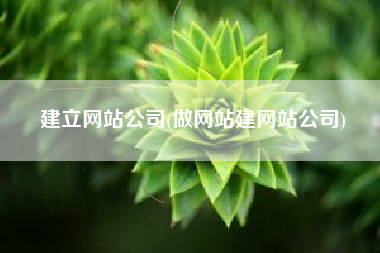 建立网站公司(做网站建网站公司)