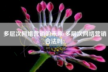 多层次网络营销的未来(多层次网络营销合法吗)