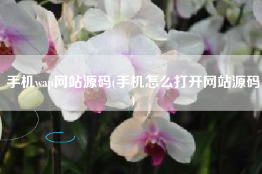 手机wap网站源码(手机怎么打开网站源码)