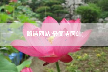 简洁网站(最简洁网站)