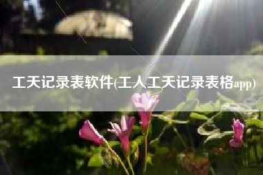 工天记录表软件(工人工天记录表格app)