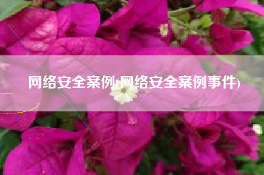 网络安全案例(网络安全案例事件)