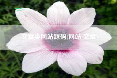 文章类网站源码(网站 文章)