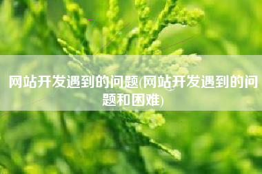 网站开发遇到的问题(网站开发遇到的问题和困难)