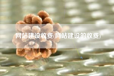 网站建设收费(网站建设的收费)