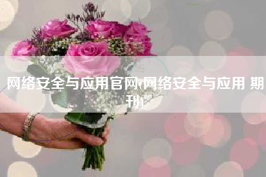 网络安全与应用官网(网络安全与应用 期刊)