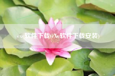 exe软件下载(eXe软件下载安装)