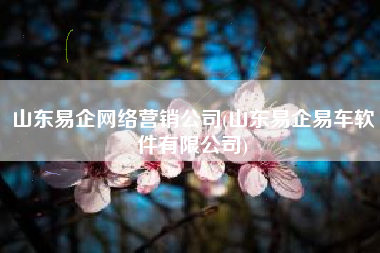 山东易企网络营销公司(山东易企易车软件有限公司)