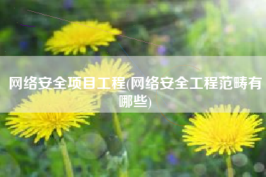 网络安全项目工程(网络安全工程范畴有哪些)