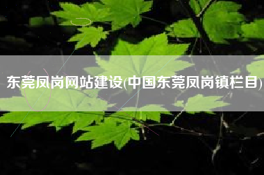 东莞凤岗网站建设(中国东莞凤岗镇栏目)