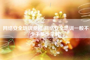 网络安全培训费用(网络安全培训一般不少于多少学时)